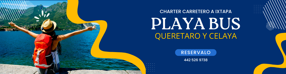 Playa Bus Ixtapa