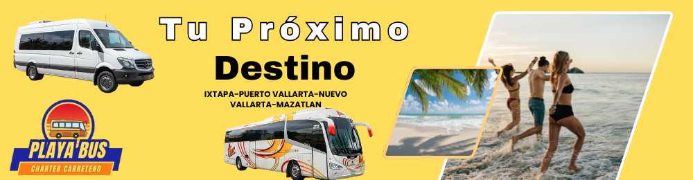 Playa Bus Ixtapa